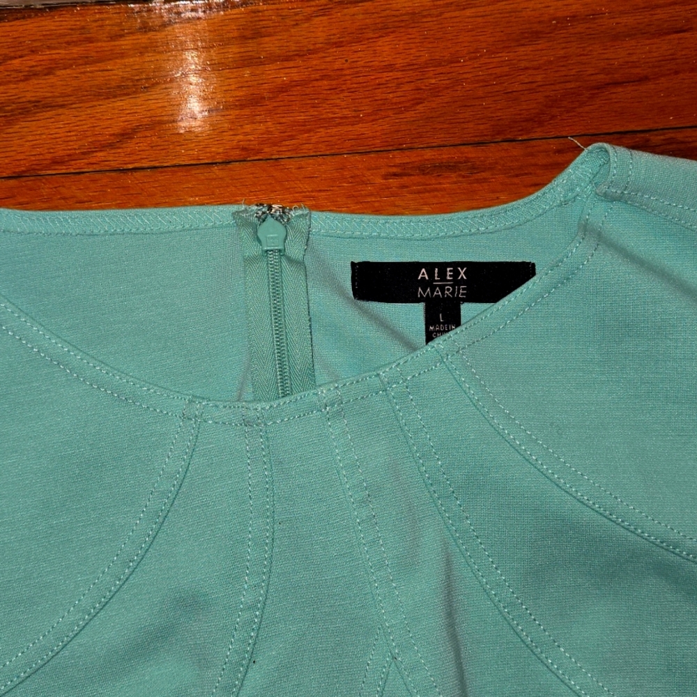 Mint green Alex Marie skater dress Size L